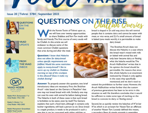 Voice of the Vaad 20